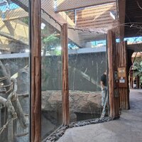 Zakázka ZOO Ostrava - když nám kvalitu práce kontrolují samotné opice 🐒
