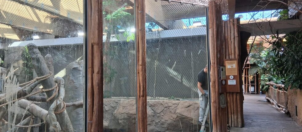 Zakázka ZOO Ostrava - když nám kvalitu práce kontrolují samotné opice 🐒 Zakázka ZOO Ostrava - když nám kvalitu práce kontrolují samotné opice 🐒